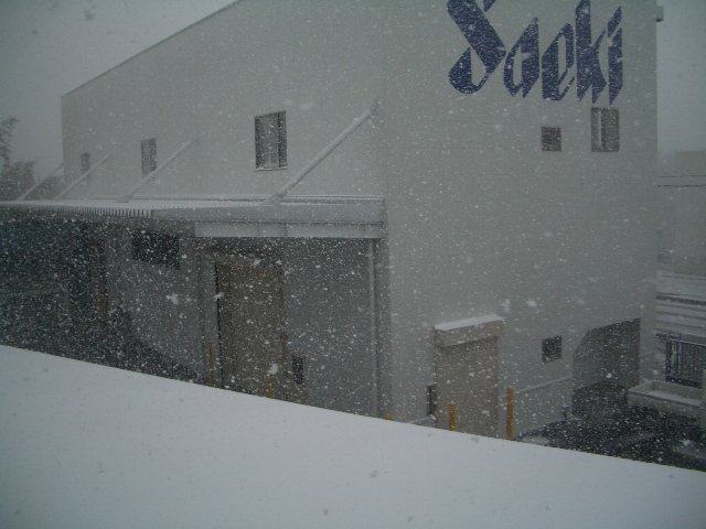 ファイル名: CIMG2141.jpg
ファイルサイズ: 167.5KB CIMG2141