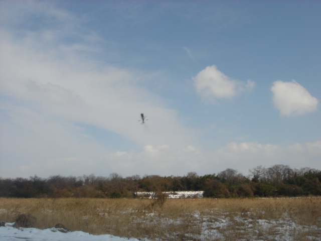 ファイル名: DSC00087.jpg
ファイルサイズ: 125.6KB DSC00087
