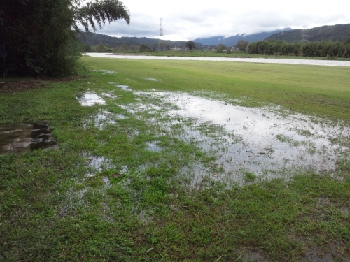 ファイル名: SH3K1009.jpg
ファイルサイズ: 183KB SH3K1009
